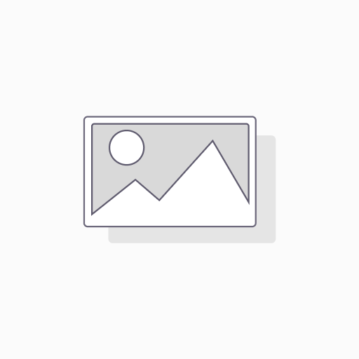 Proteus VPN Lite Subscription